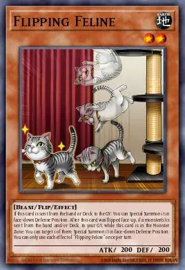 Flipping Feline