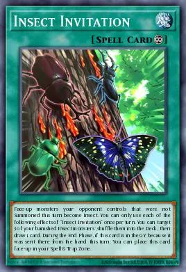 Insect Invitation