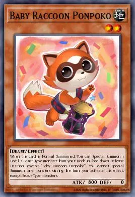 Baby Raccoon Ponpoko